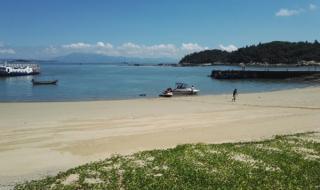 漳州到东山坐什么车 漳州东门屿